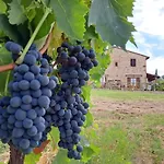 I Vigneti Del Chianti Appartement Barberino di Val dʼElsa