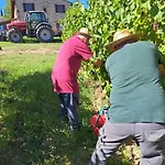 I Vigneti Del Chianti Barberino di Val dʼElsa