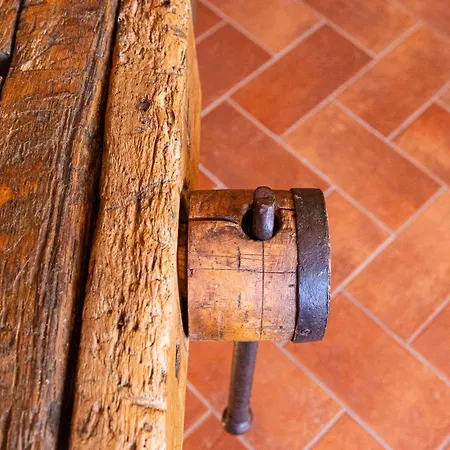 I Vigneti Del Chianti