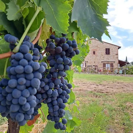 I Vigneti Del Chianti Apartmán Barberino di Val dʼElsa