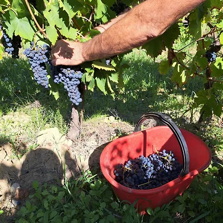 I Vigneti Del Chianti Apartmán *