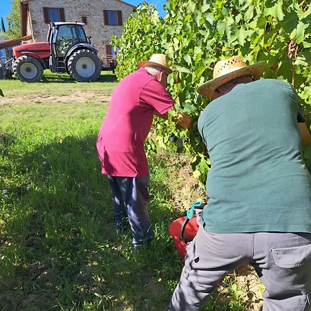 I Vigneti Del Chianti Barberino di Val dʼElsa