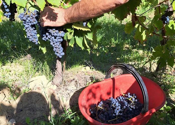 I Vigneti Del Chianti Apartman *