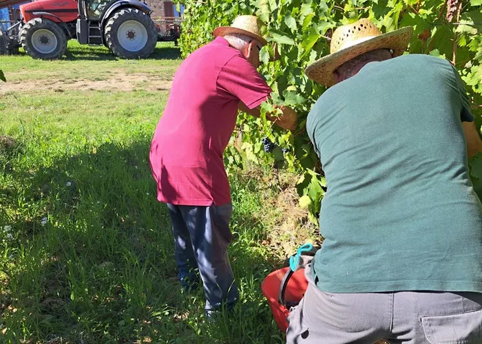 I Vigneti Del Chianti Barberino di Val dʼElsa